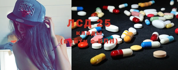 стафф Надым